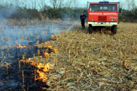 Posledice paljenja: Sudari, izgoreli psi...