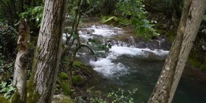 Albanija zaustavlja gradnju hidroelektrana
